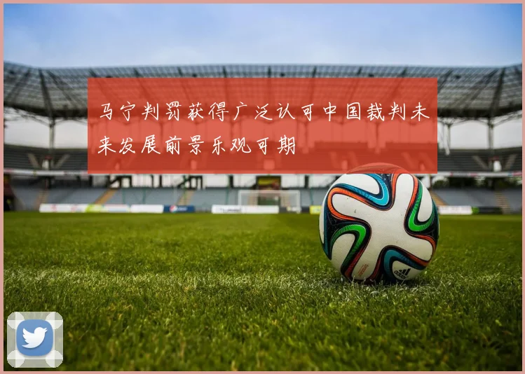 马宁判罚获得广泛认可中国裁判未来发展前景乐观可期